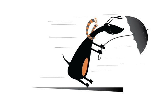 Airflow Management Considerations for the Colocation Landlord